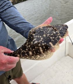 Fishing for Southern Flounder in MS
