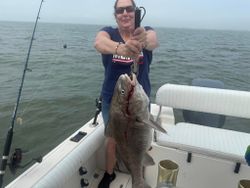 Caught a big black drum in TX