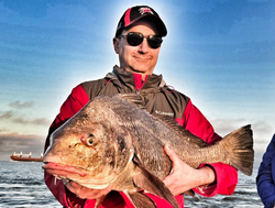 Angler holding a large black drum fish in Galveston