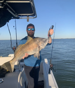 Angler holding a big black drum fish caught in TX