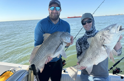 Two big black drum fish caught in TX