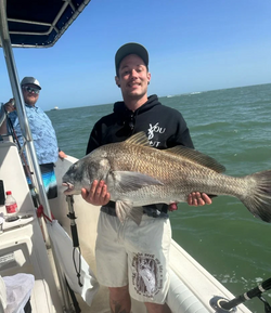 A single black drum fish caught fishing in TX