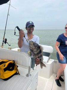 Sheepshead fishing in TX
