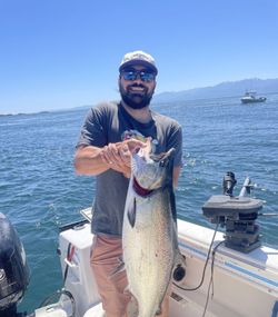 Sooke Adventure: Salmon Spectacle