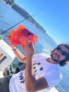 1 fish caught in BC while fishing