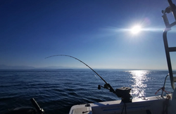 Fishing scene at Sooke