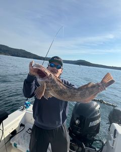 One person fishing with a rod in Sooke