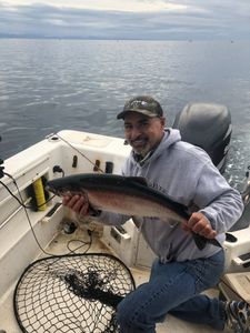 A lone rainbow trout caught in BC