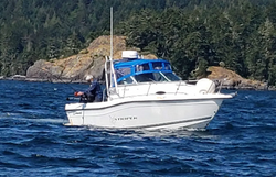 Scenic landscape of Sooke, a coastal town in British Columbia, Canada