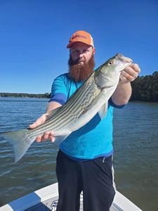 Lake Murray fishing for Stripers, SC