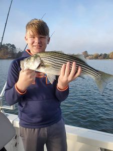 Lake Murray Striper Fishing