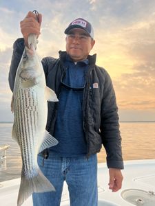 Striped bass excitement.