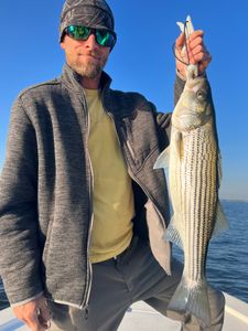 Striped bass, mighty fight!