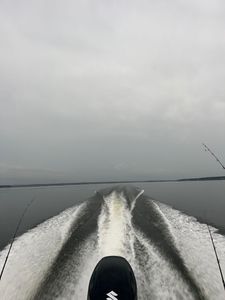 Bass Fishing Lake Murray SC: Unleash the Adventure