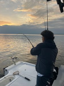 Lake Murray Bass Fishing: The Ultimate Adventure.
