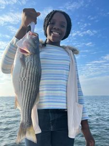 Busy Happy Day in Lake Murray