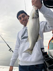 Striped bass thrill ride!