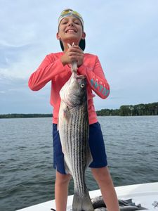 Summertime Striper