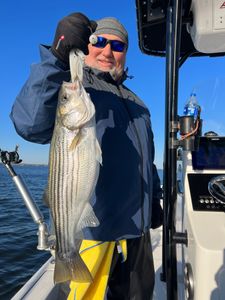 Fish the best bass bite on Lake Murray.