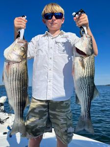 Two striped bass in one shot