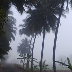 Scenic landscape in Karnataka, India showcasing water sports activities