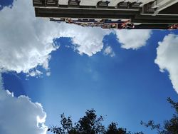 Looking up at blue sky with white clouds from below, buildings and trees visible at edges