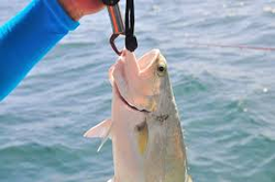 Hooked a nice one on a peaceful day out.