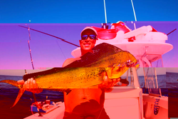 Reeled in a beauty!