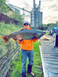 One angler holding a 39-inch fish in Newaygo County