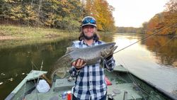 Chinook Salmon fishing in MI