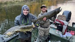 Two Chinook Salmon, each around 24 inches long, caught in Newaygo County