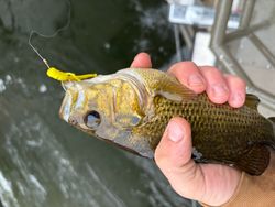 A fishing trip in MI, showcasing the Best, great experience.