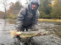 A person fishing in MI