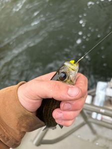 Fishing adventure in MI