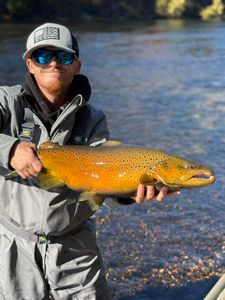Angler fishing for a sea trout in MI