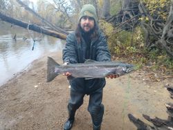 Photo of a rainbow trout caught while fishing in MI
