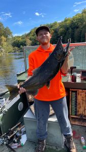 Angler fishing alone in MI