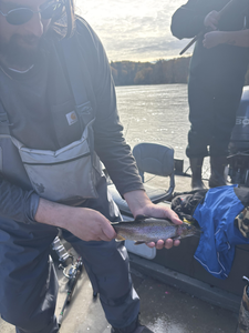 Nice rainbow trout from the waters around Newaygo! Multiple techniques paid off today.