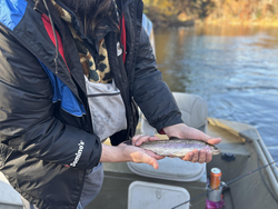 Nice rainbow trout on the lake! Jigging and drift fishing techniques paying off in these cloudy afternoon conditions.