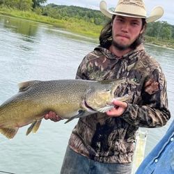 Photograph of a single rainbow trout caught in MI