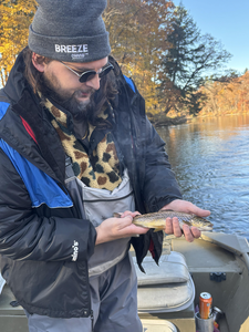 Nice sea trout using jigging technique on the water today!