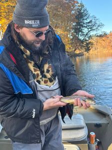 Lone sea trout caught while fishing in MI