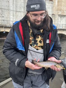 Nice sea trout from Newaygo! Jigging proved exciting near the bridge structure.