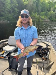 Shorthead Redhorse caught fishing in Newaygo County Michigan from boat on lake