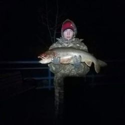 Angler with a 26-inch fish in MI