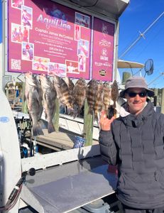 4 black drum and sheepshead fish caught in MS