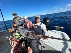 "Bountiful Catch: A fisherman's triumphant haul on the open waters."