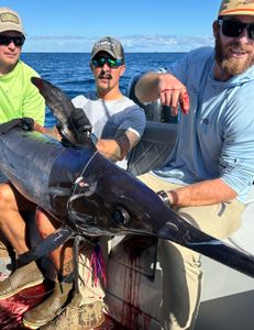 3 people on a cruises, fishing, tours expedition in MS