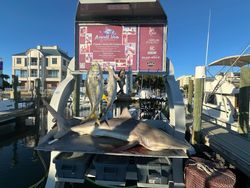 3 big fish caught during a fishing, cruises, and tours excursion in Gulfport