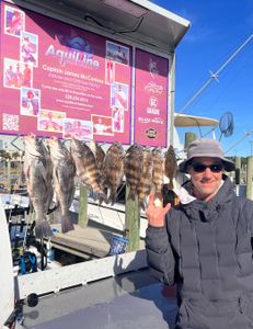 4 black drum and sheepshead fish caught on a fishing trip in Gulfport
